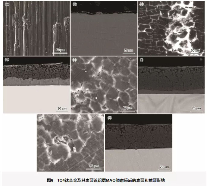 鈦合金及鈦合金鍍鋁層MAO不同時間的膜層與WC-Co球?qū)δズ蟮谋砻婧徒孛嫘蚊? alt=