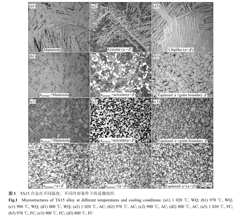 TA15合金在不同溫度、不同冷卻條件下的顯微組織 TA15合金在不同溫度、不同冷卻條件下的顯微組織