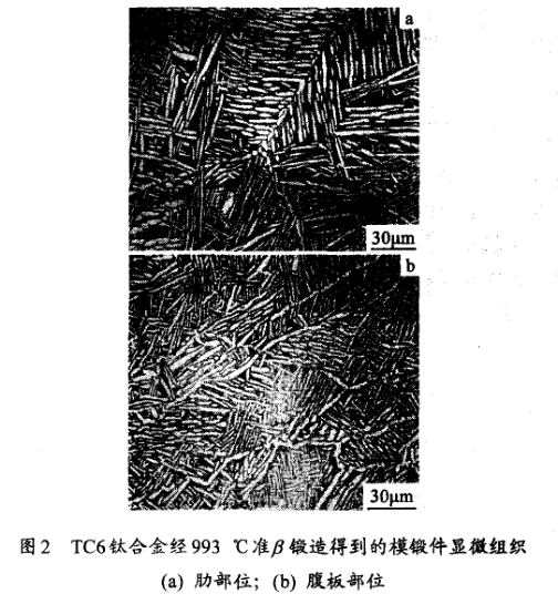 TC6鈦合金經993 ℃準鍛造得到的模鍛件顯微組織(a) 肋部位；(b) 腹板部位