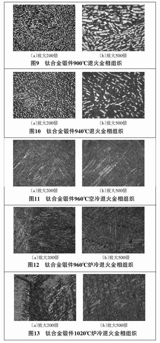 1636106693569567.jpg 913.jpg