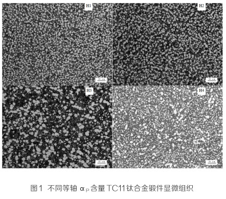 1636688474270985.jpg 11.jpg