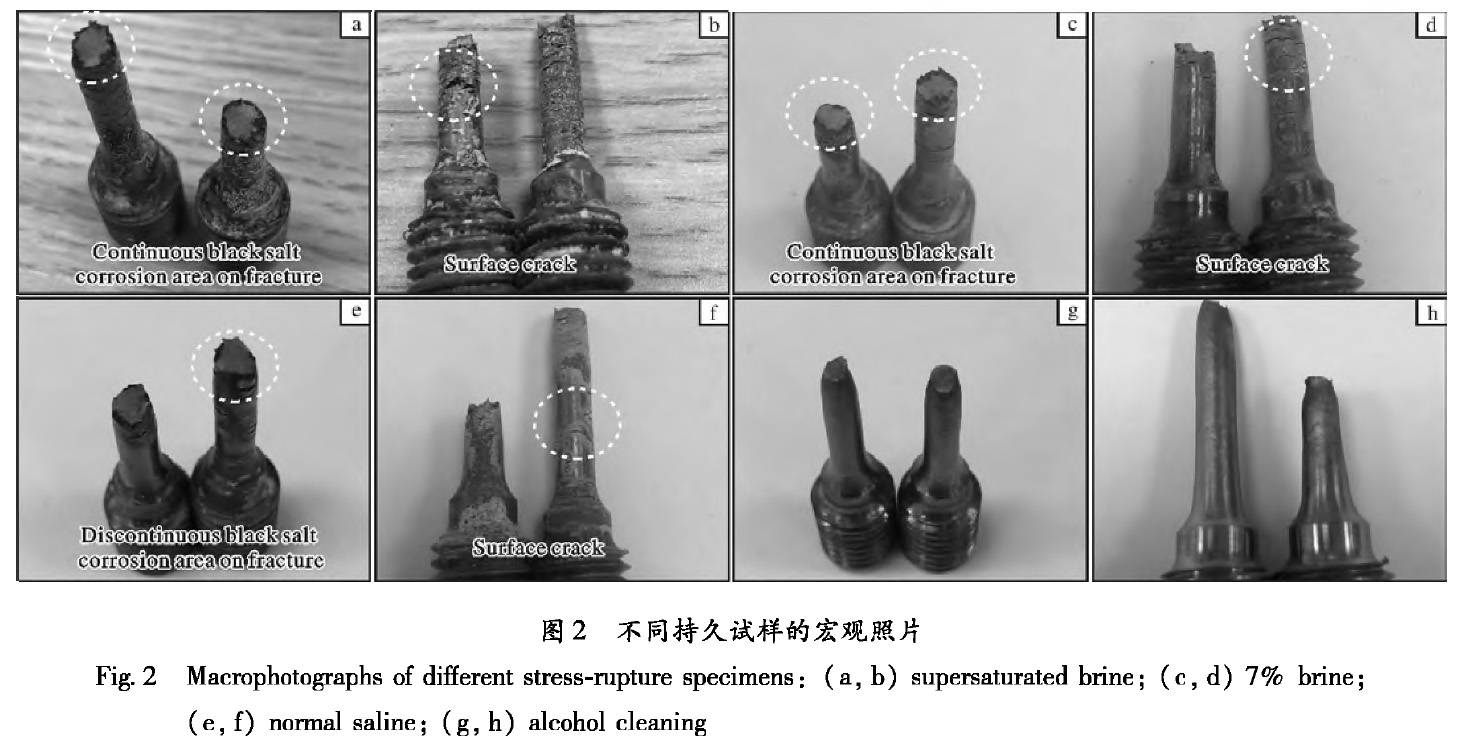 1659106470952420.jpg t2.jpg