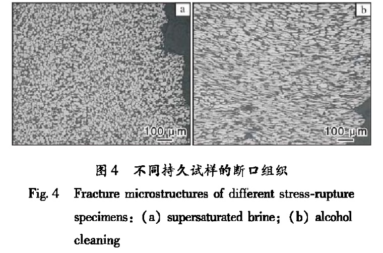 1659106502281753.jpg t4.jpg