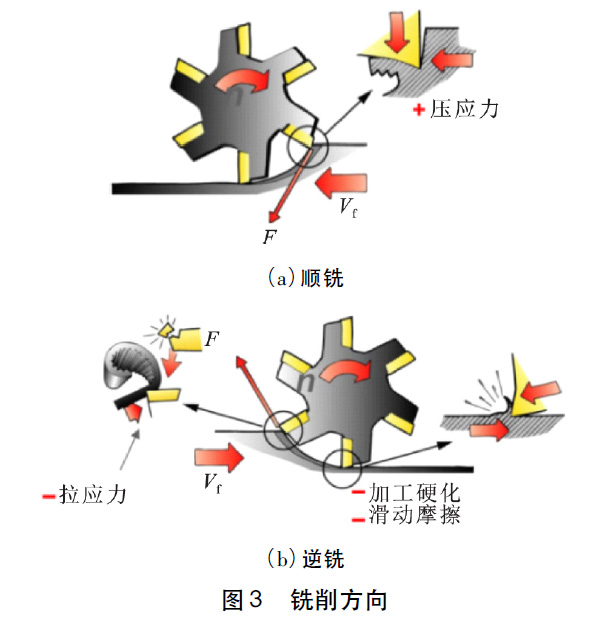 1664164365868954.jpg t3.jpg