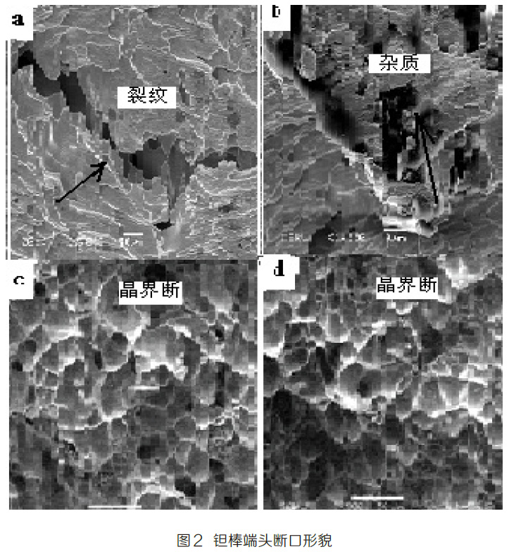 1666565306934979.jpg t2.jpg