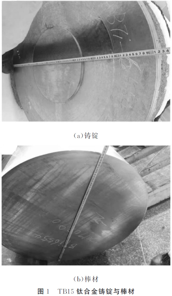 1677486354135819.jpg t1.jpg