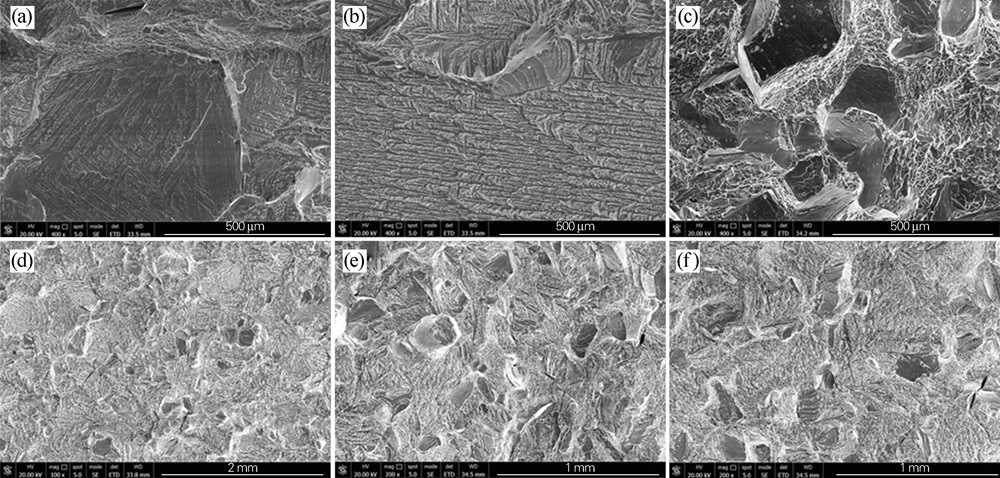 1677489069818518.jpg t22.jpg