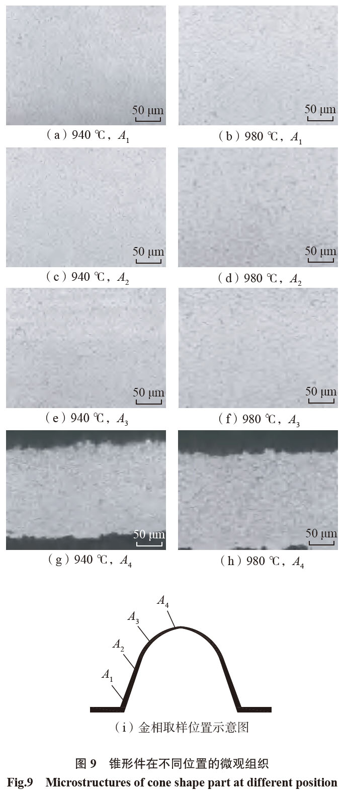 1681616069458143.jpg t9.jpg