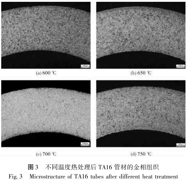 1686278059112888.jpg t3.jpg