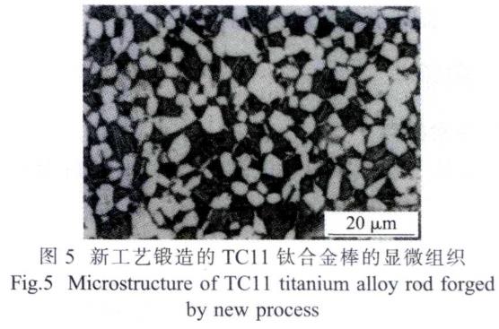 1687099421743848.jpg t5.jpg