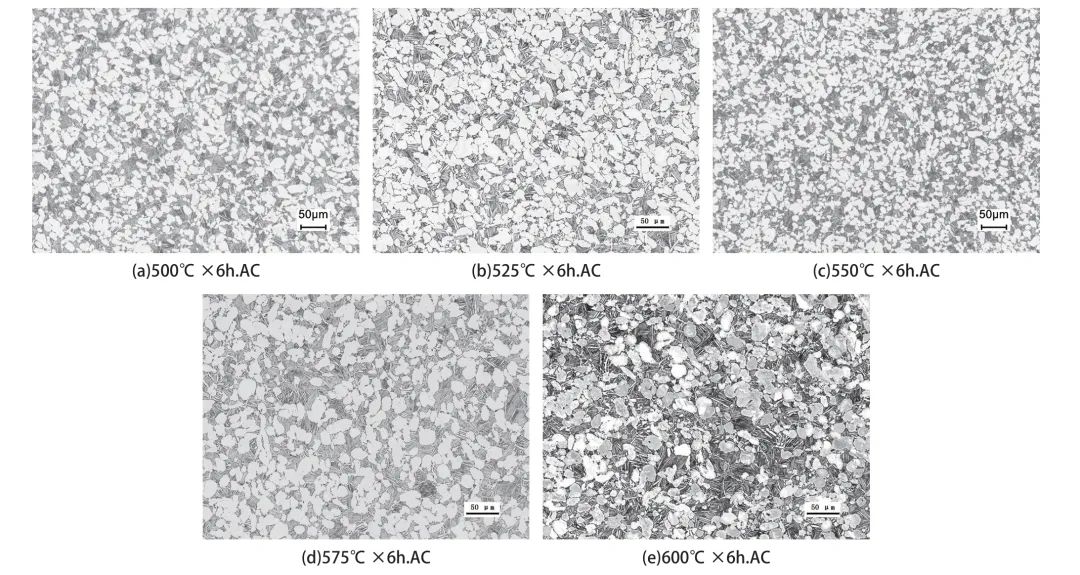 1700710374989681.jpg 3.jpg