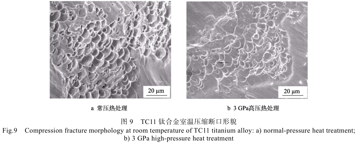 1702471018105167.jpg t9.jpg