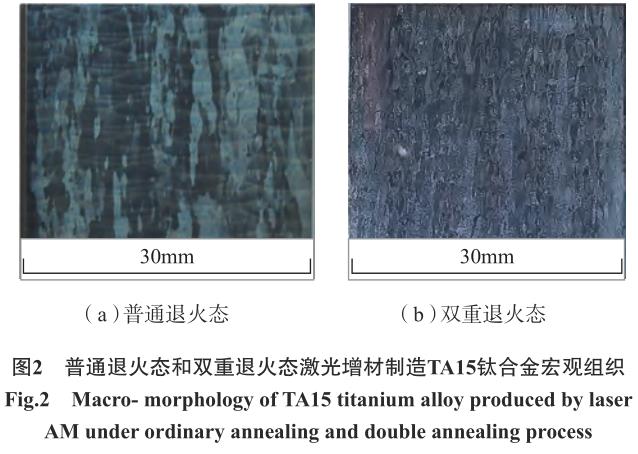 1705706543459699.jpg t2.jpg