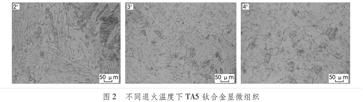 1705745151204647.jpg t2.jpg