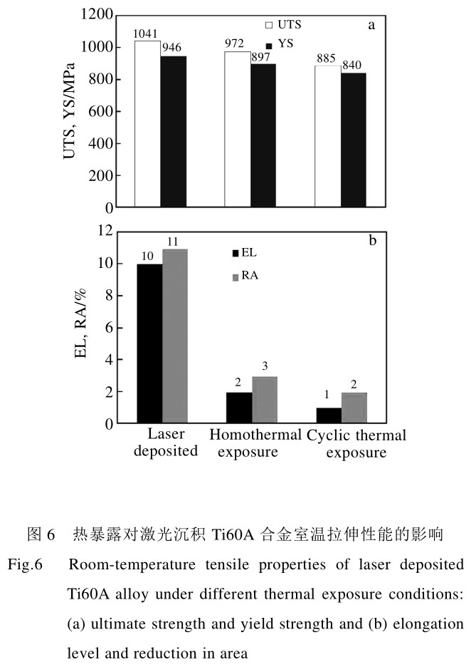 1708439167200749.jpg t6.jpg