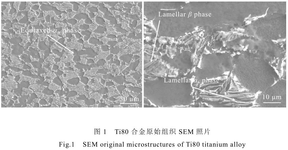 1708442251191715.jpg t1.jpg