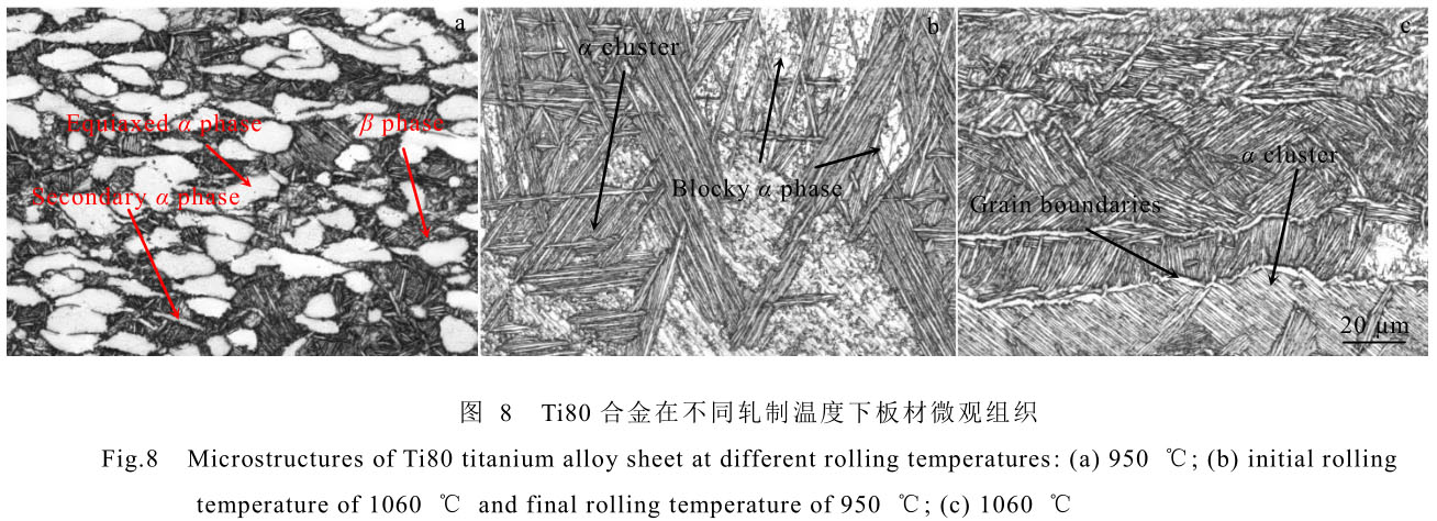 1708442318520830.jpg t8.jpg