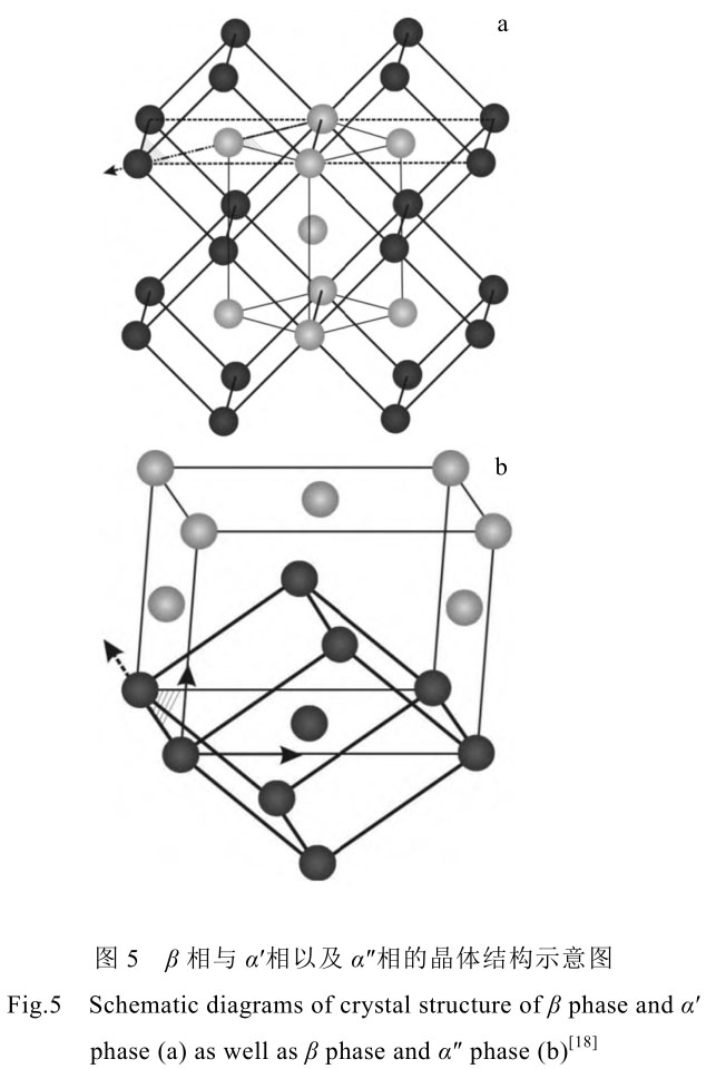 1708444144552519.jpg t5.jpg