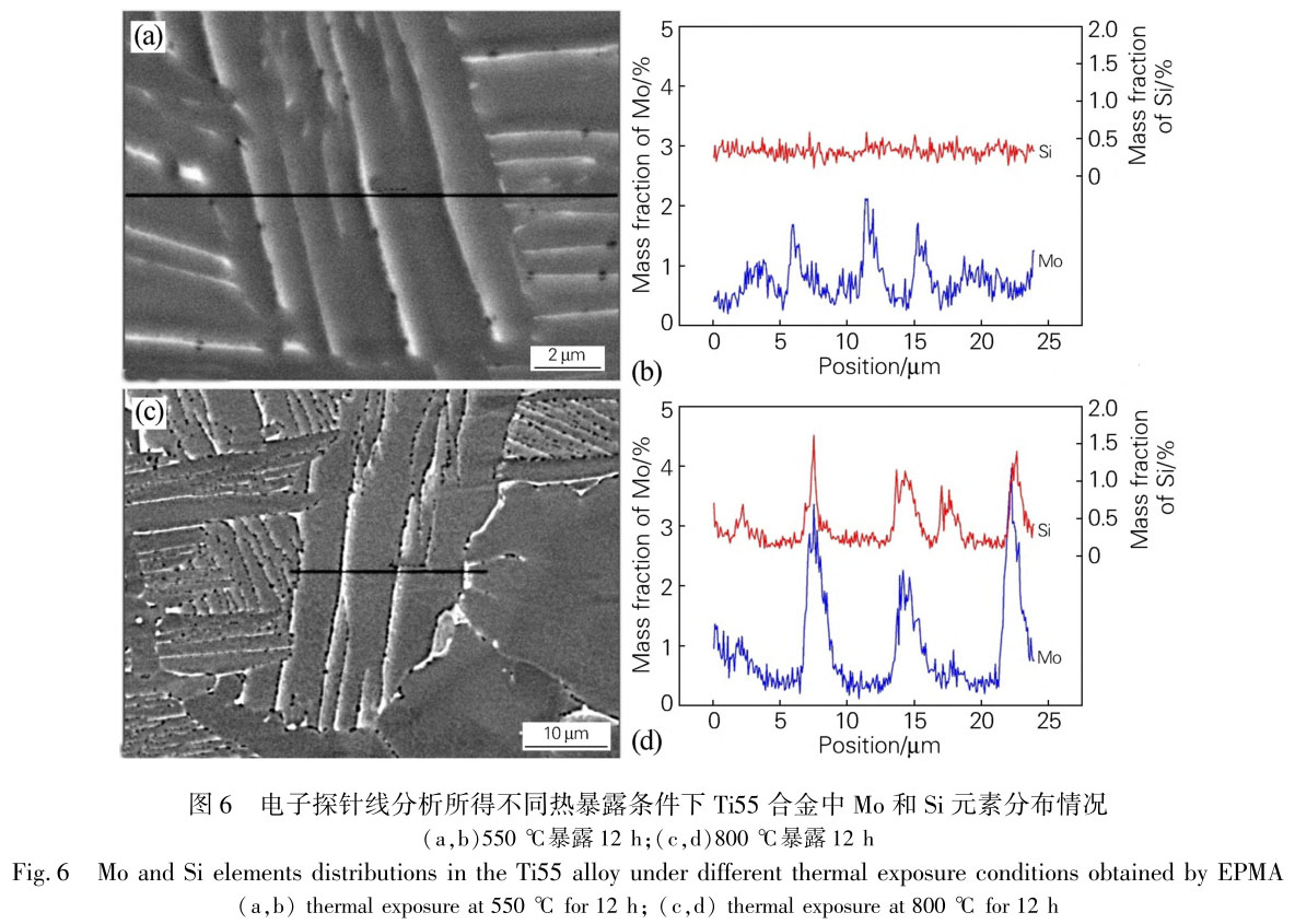 1711447311213749.jpg t6.jpg