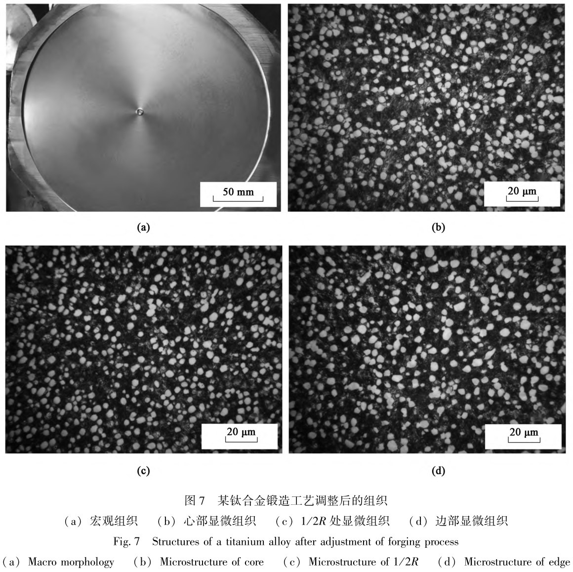 1712454597263474.jpg t7.jpg