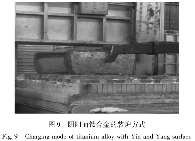 1712454614647216.jpg t9.jpg