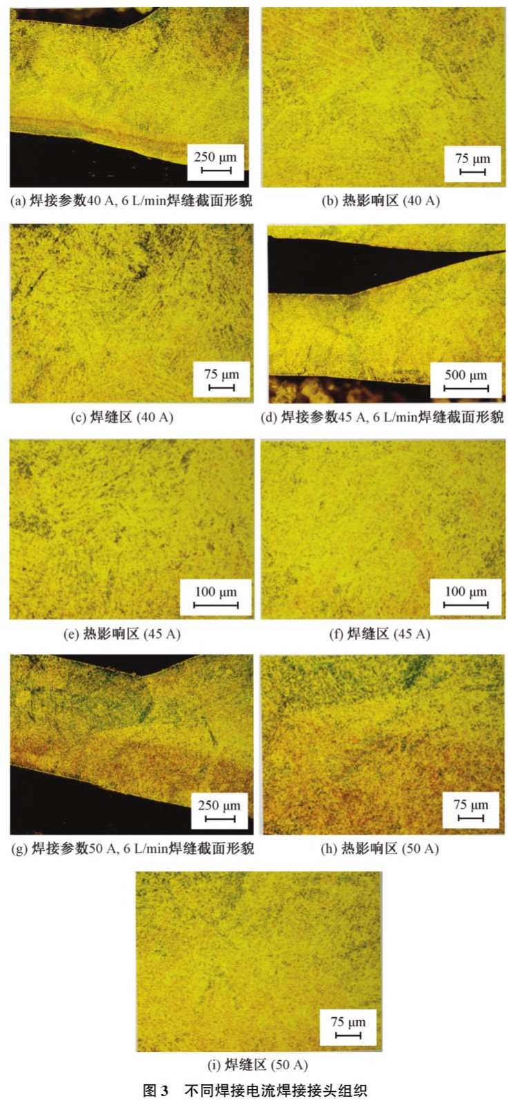 1712456264470303.jpg t3.jpg