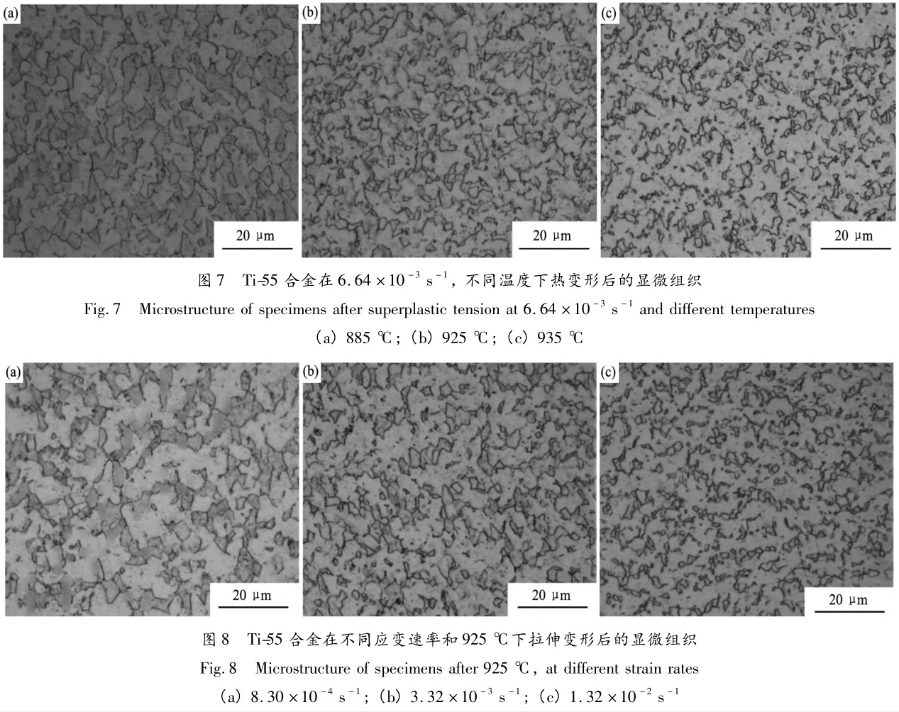 1713442913380152.jpg 未標題-7.jpg