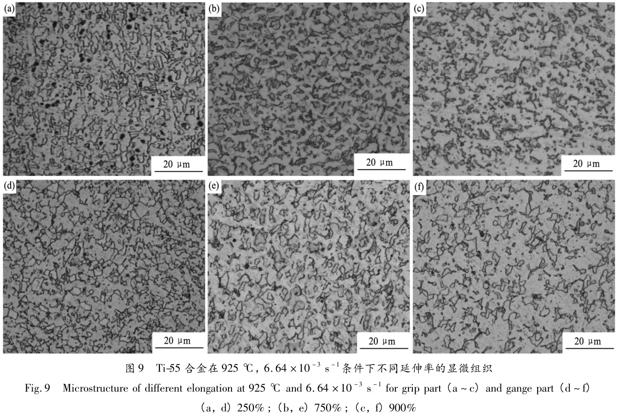 1713442947137639.jpg 未標題-8.jpg