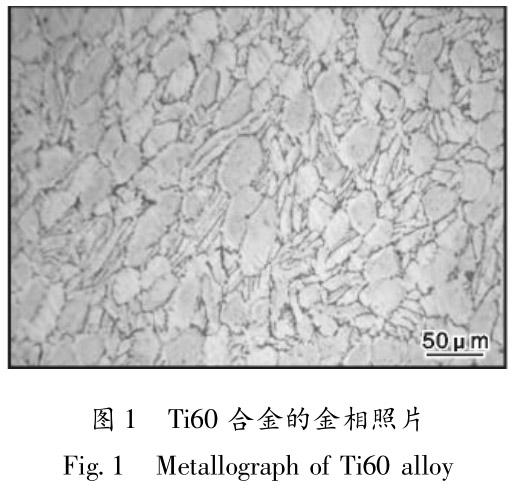 1713497081616565.jpg t1.jpg