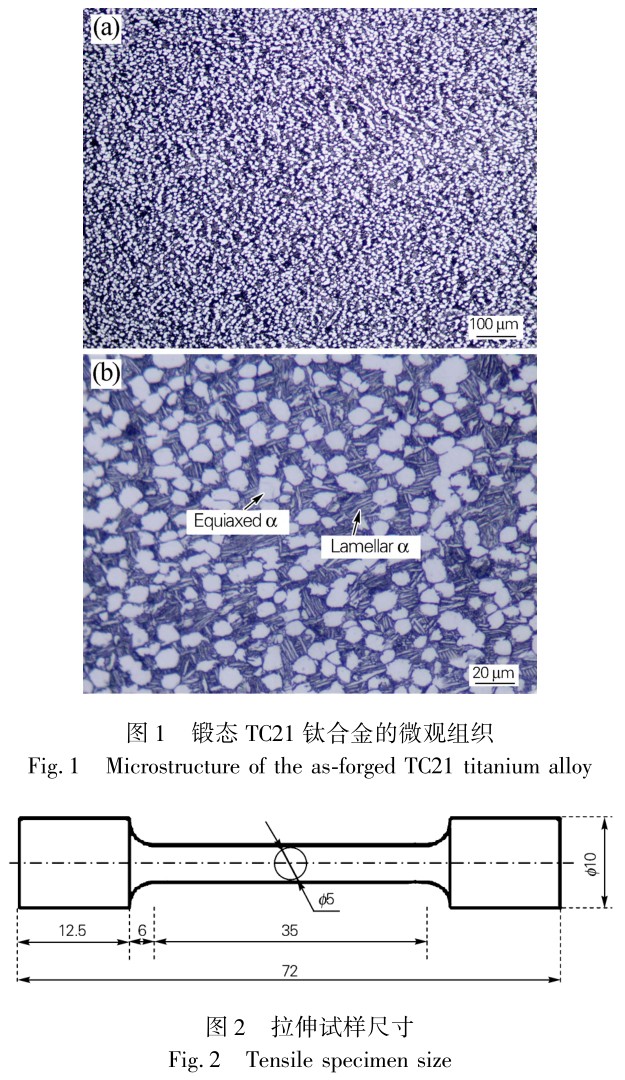 1715503003844637.jpg t1-2.jpg