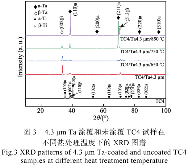1715508153350604.jpg t3.jpg
