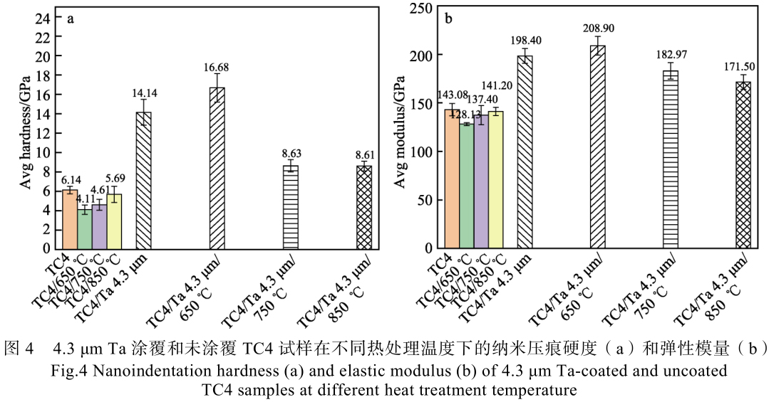 1715508164682369.jpg t4.jpg