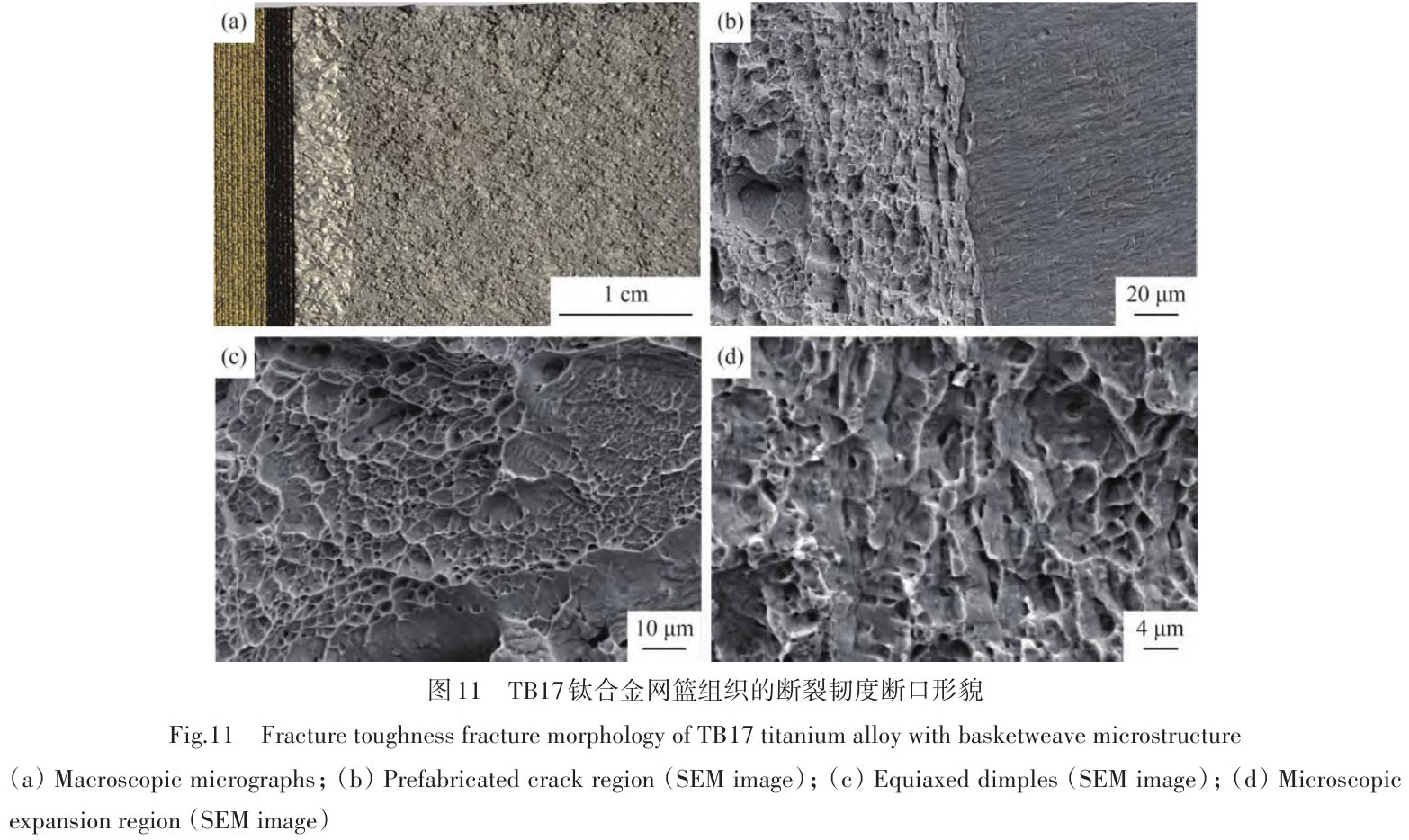 1716173824157849.jpg t11.jpg