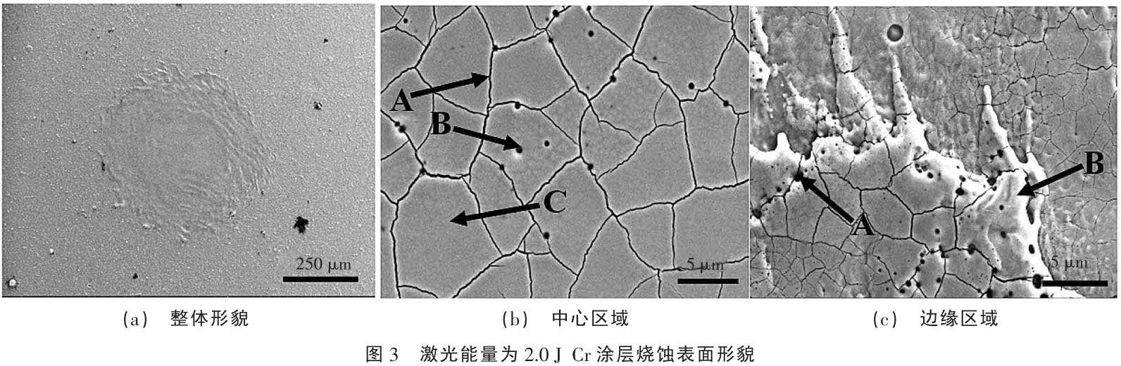 1717409583185224.jpg t3.jpg