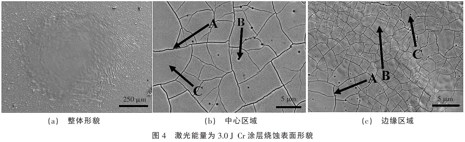 1717409594407052.jpg t4.jpg