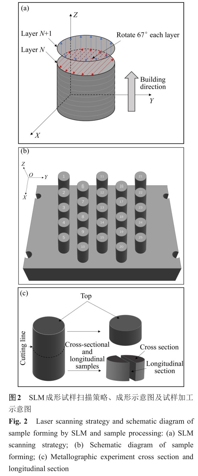 1721808803195355.jpg t2.jpg