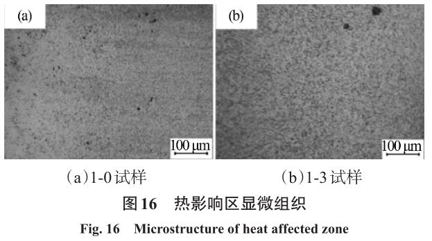 1724722623945608.jpg t16.jpg