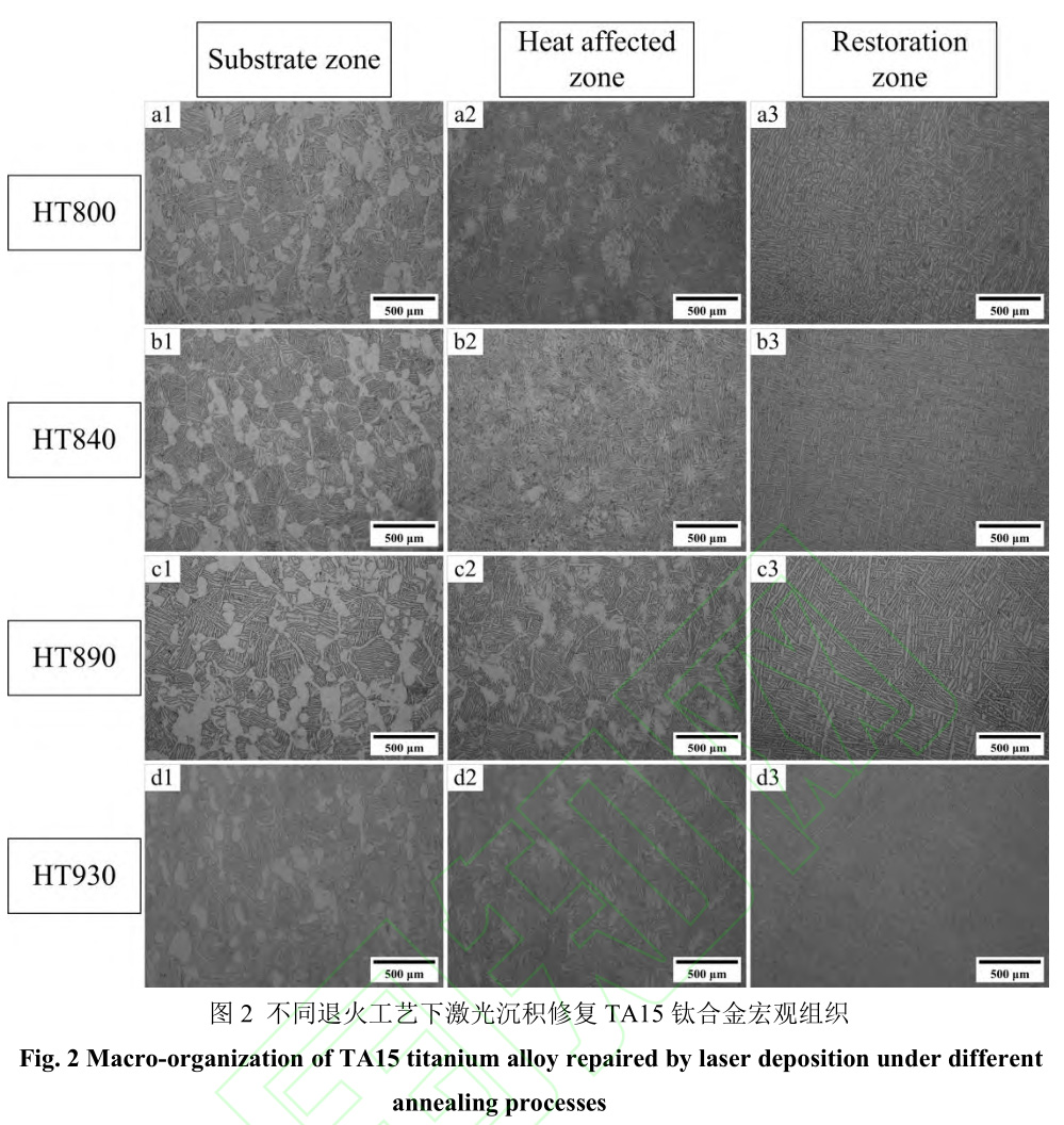 1729343022929364.jpg 2.jpg