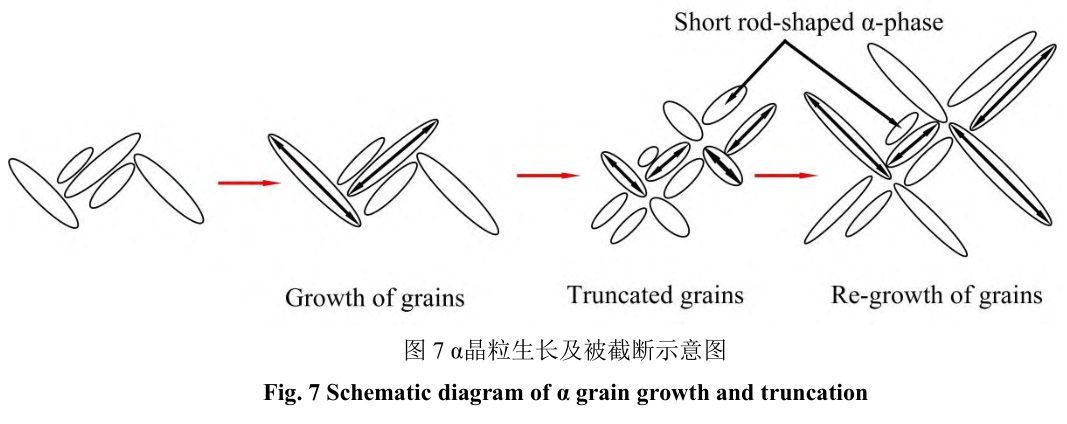 1729343055211950.jpg 7.jpg