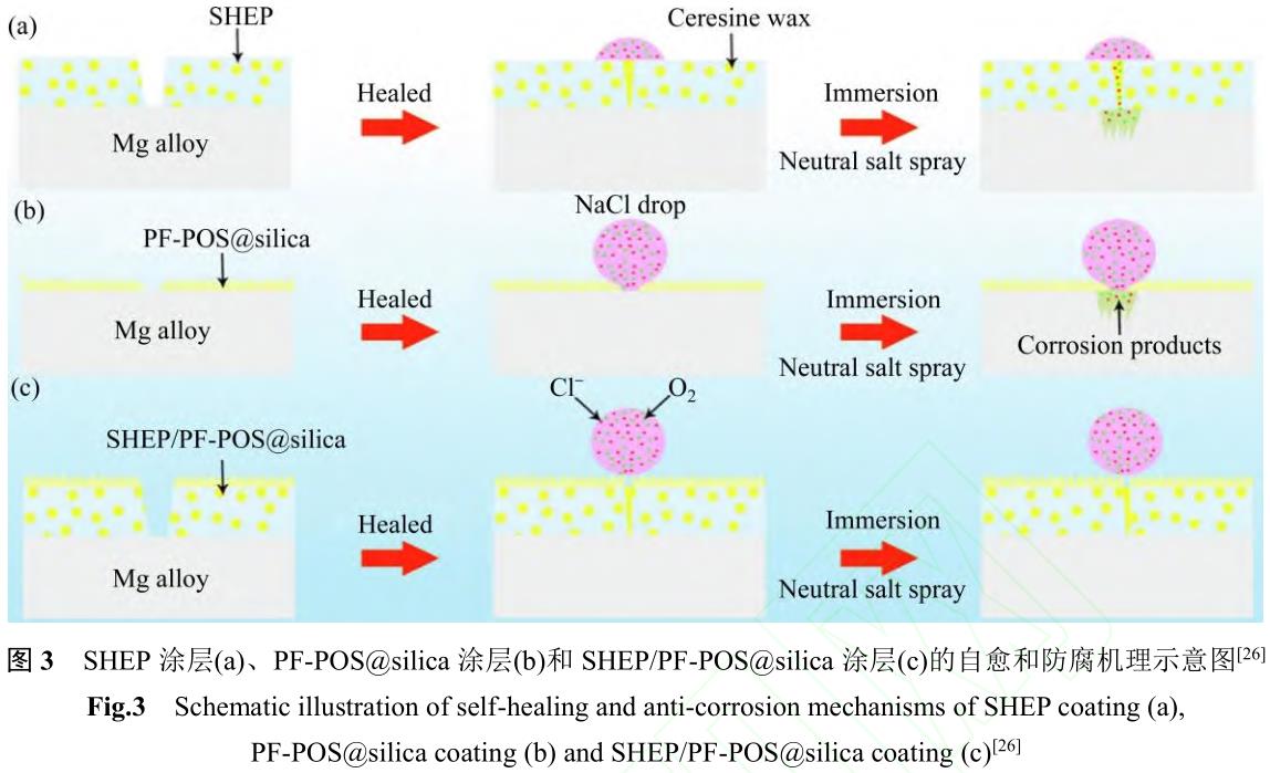 1729739685154022.jpg 360截圖164211018011899.jpg