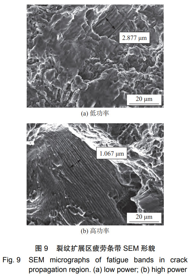 1731120072692442.jpg 9.jpg