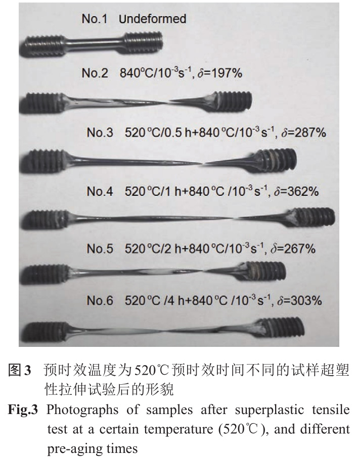 1733194182255483.jpg 3.jpg