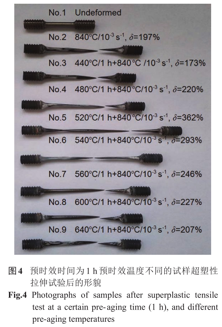 1733194240568631.jpg 未標(biāo)題-7.jpg