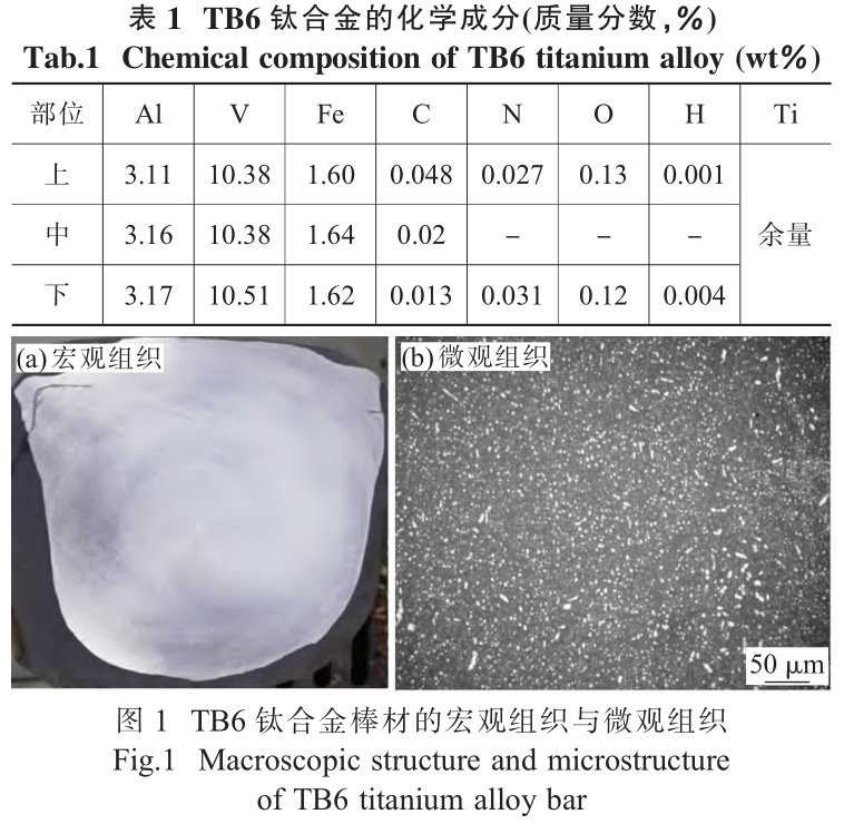 1733644333859792.jpg b1-t1.jpg