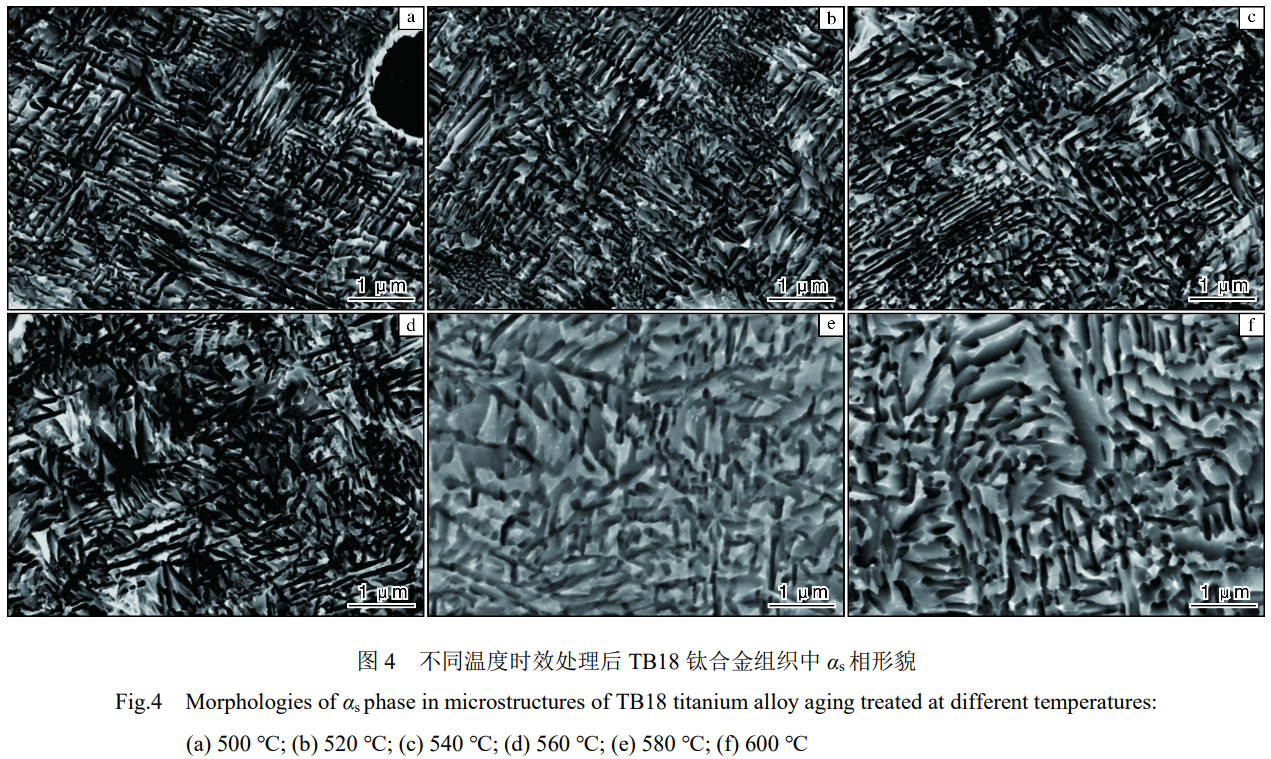 1743305338783038.png 截圖20250330112348.png