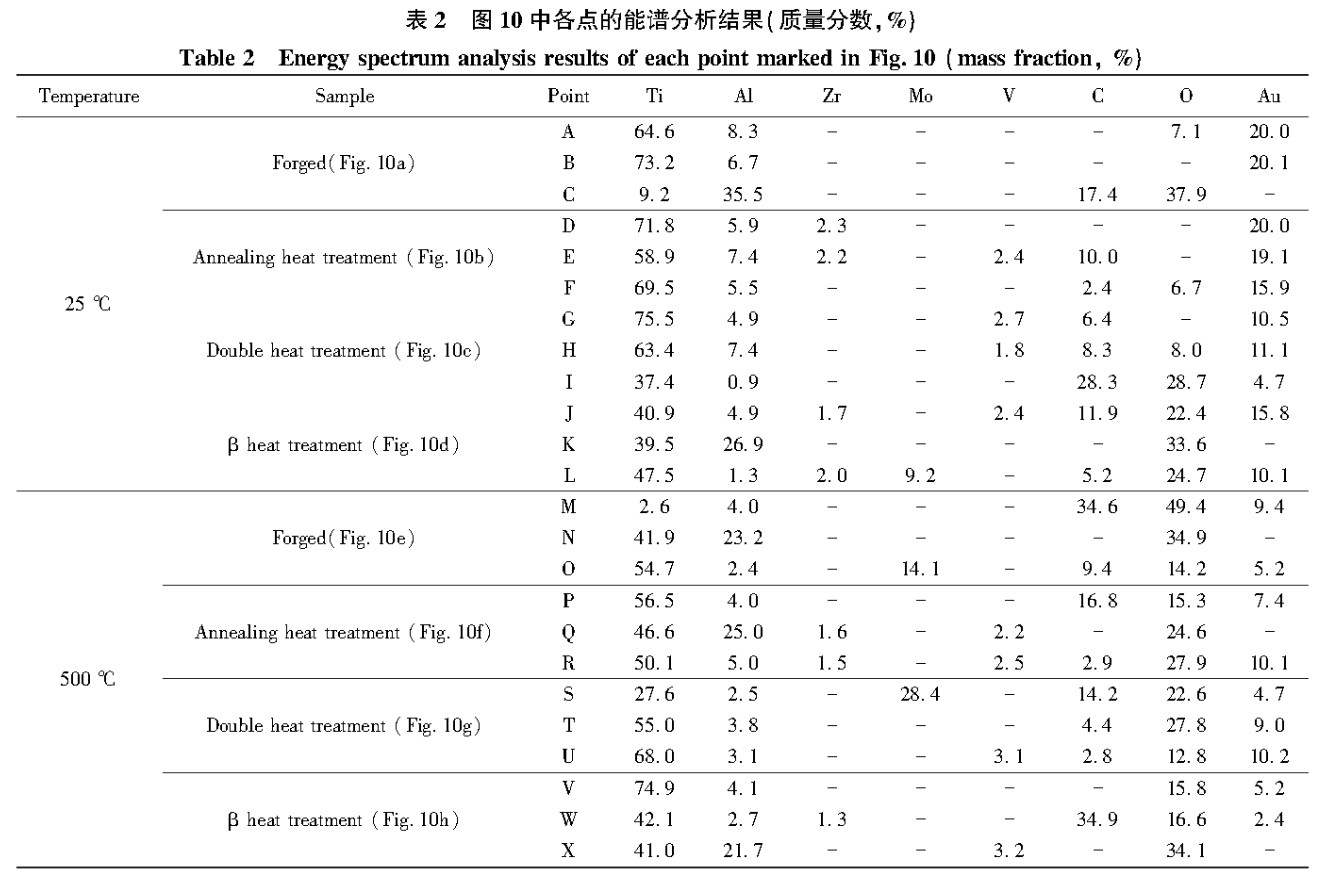 1743392302306825.jpg b2.jpg