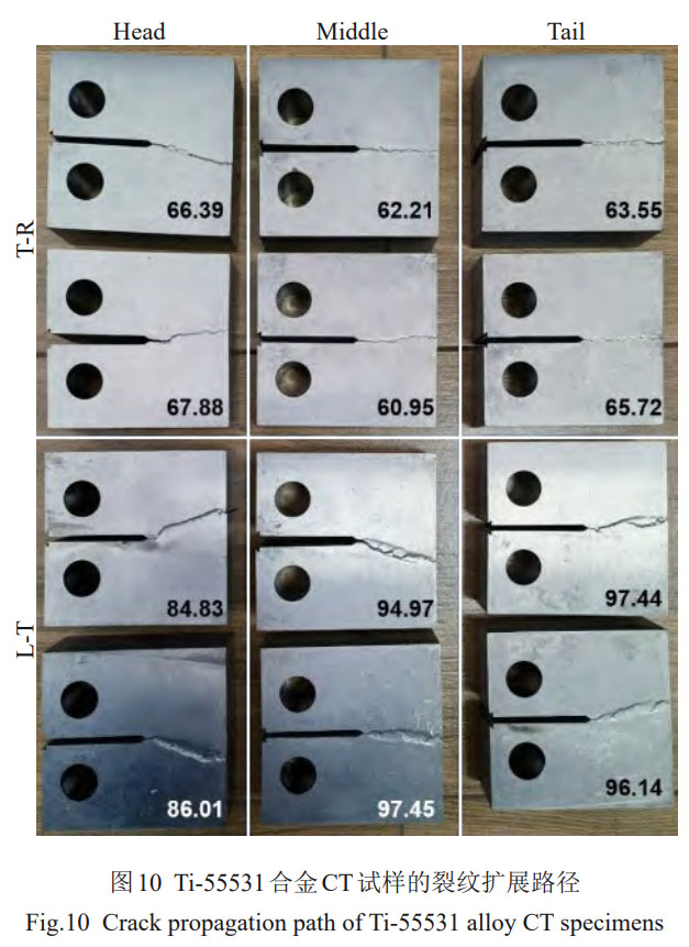 1757990972845494.jpg 未標題-1.jpg