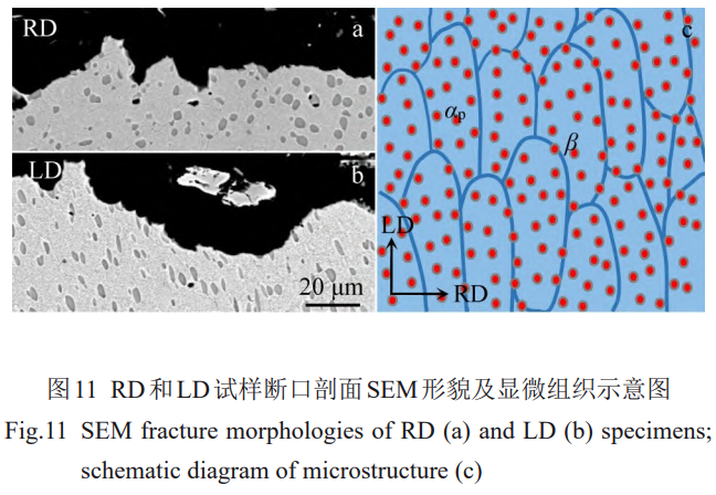 1757990989682999.png 截圖20250916103623.png