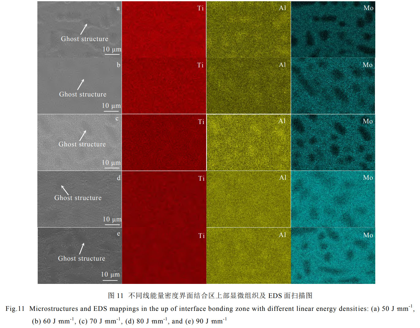 1759115935881636.jpg 未標題-3.jpg